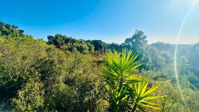 Terreno residencial en Venta en Puig nou en Capmany