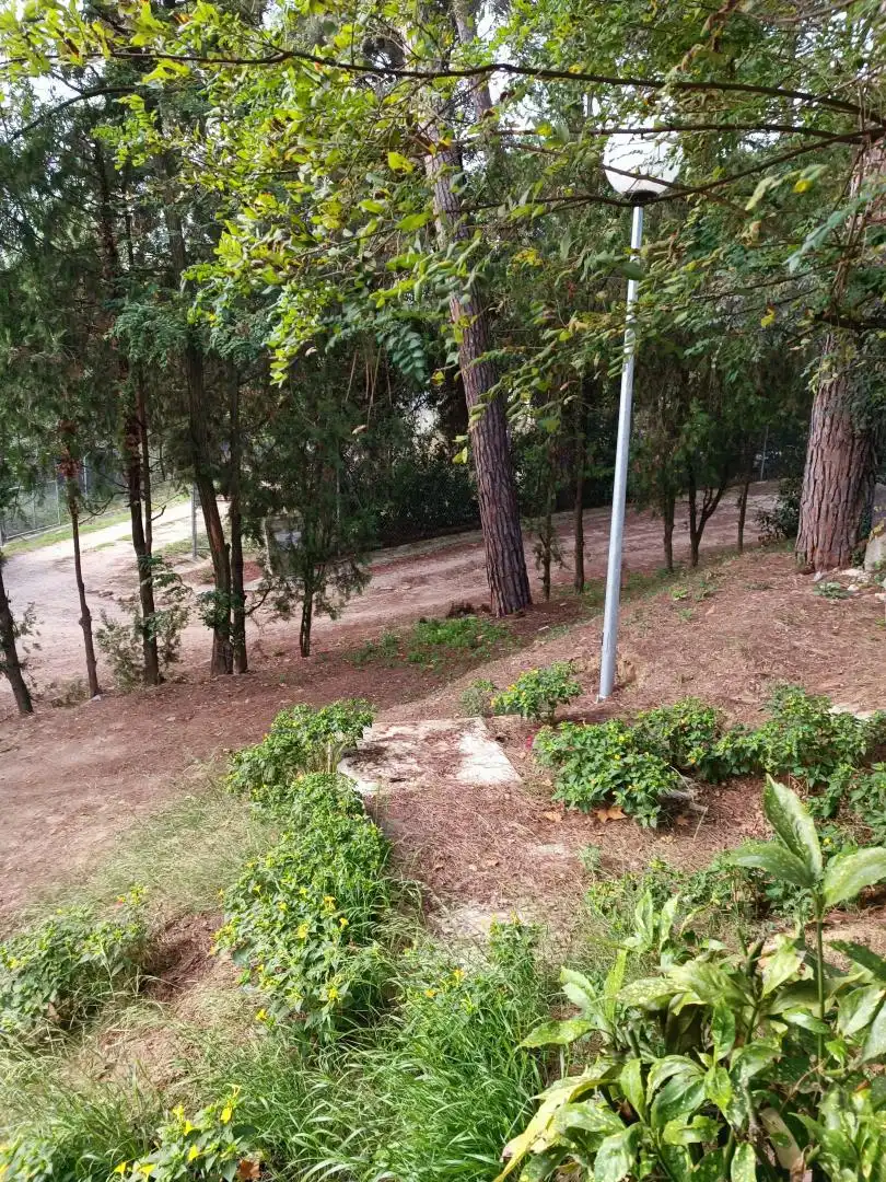 Dúplex de lloguer a Gualba