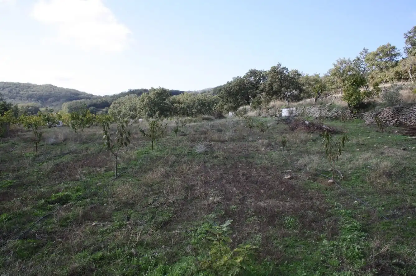 Finca rústica en venta en Torremenga con Jardín privado, Terraza y Amueblado