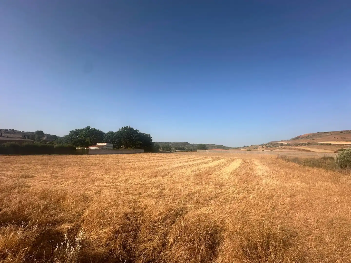 Terreno rustico in vendita a Chinchón, imagen 3