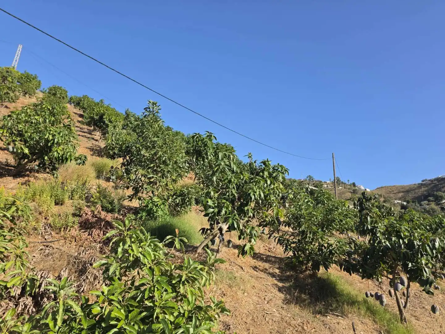 Finca rústica en venta en Benamocarra con Terraza y Piscina