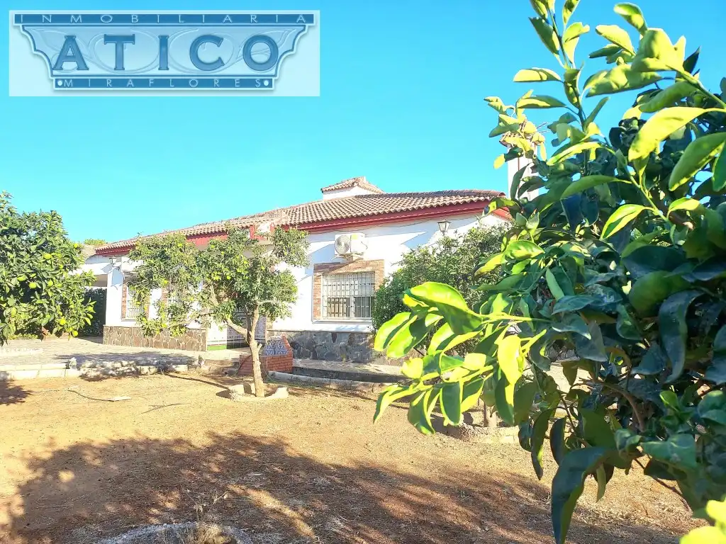 Exterior view of Houses for sale in La Rinconada