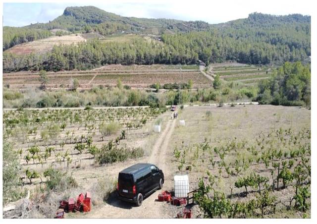 Terreno en Venta en El Molar (Tarragona)