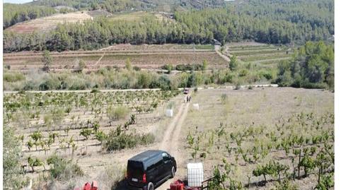 Foto 3 de Terreno en venta en El Molar (Tarragona), Tarragona