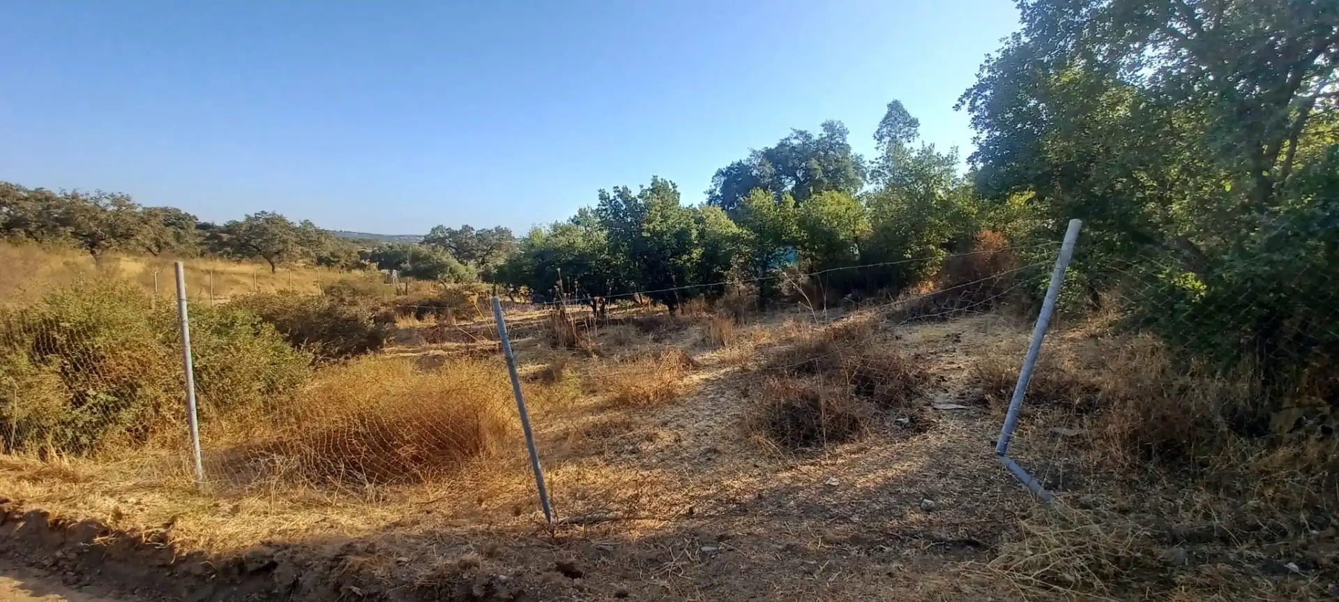 Terreni e lotti in vendita a Castilblanco de los Arroyos, imagen 13