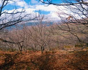 Land for sale in Arroyomolinos de la Vera