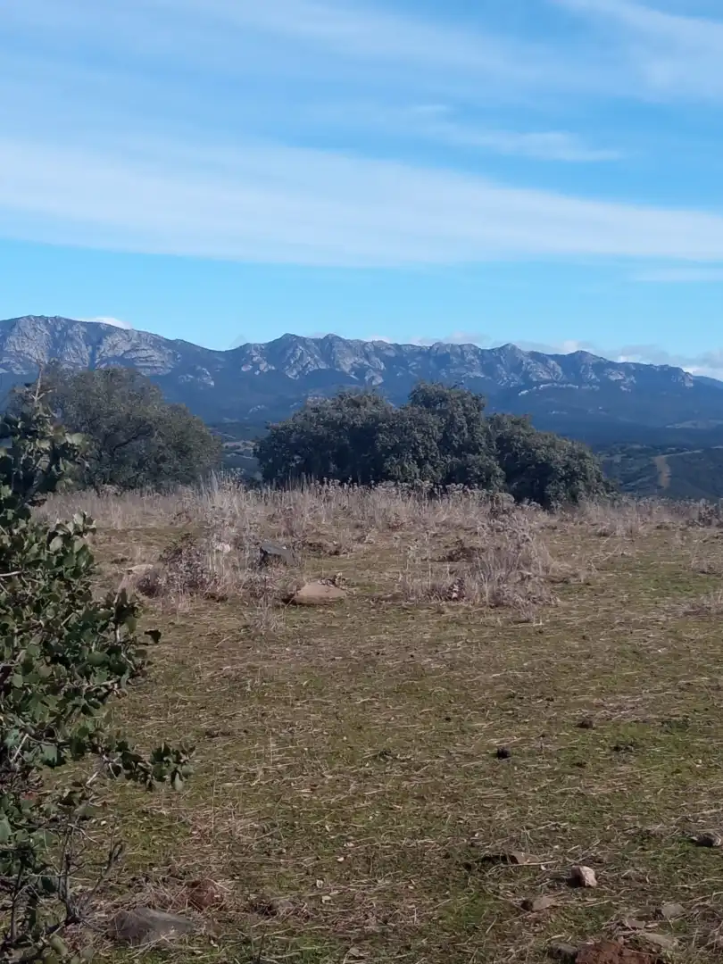 Land for sale in Cardeña