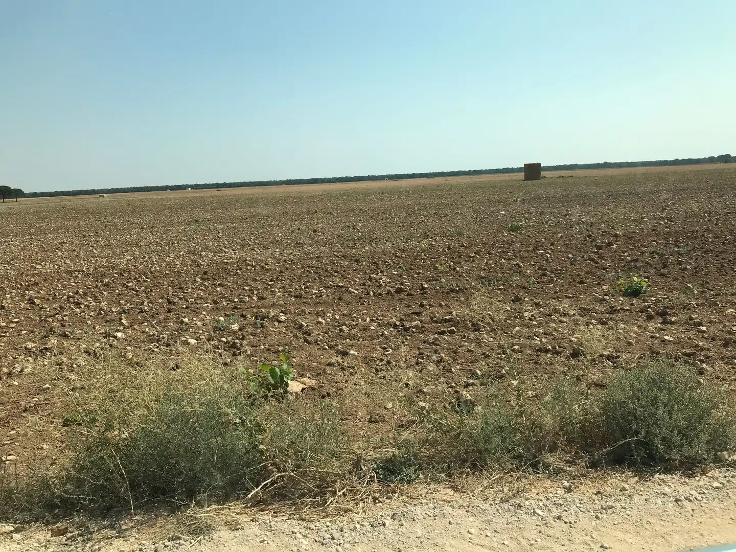 Terreni e lotti in vendita a Las Mesas, imagen 29
