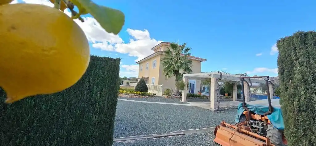 Villa con terrazza in vendita a Totana, imagen 50