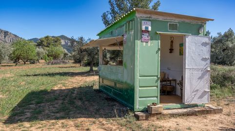 Finca rústica con olivos y frutales. Agua de riego de pozo propio. Construcción metálica.