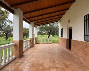 Terrace of Land for sale in Alcaracejos
