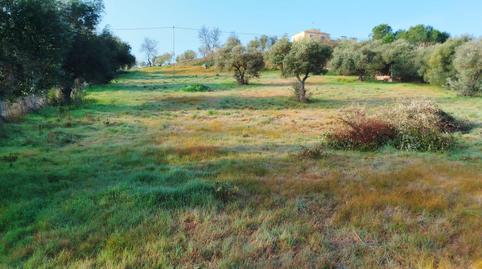 Foto 3 de Finca rústica en venta en Sur, Badajoz