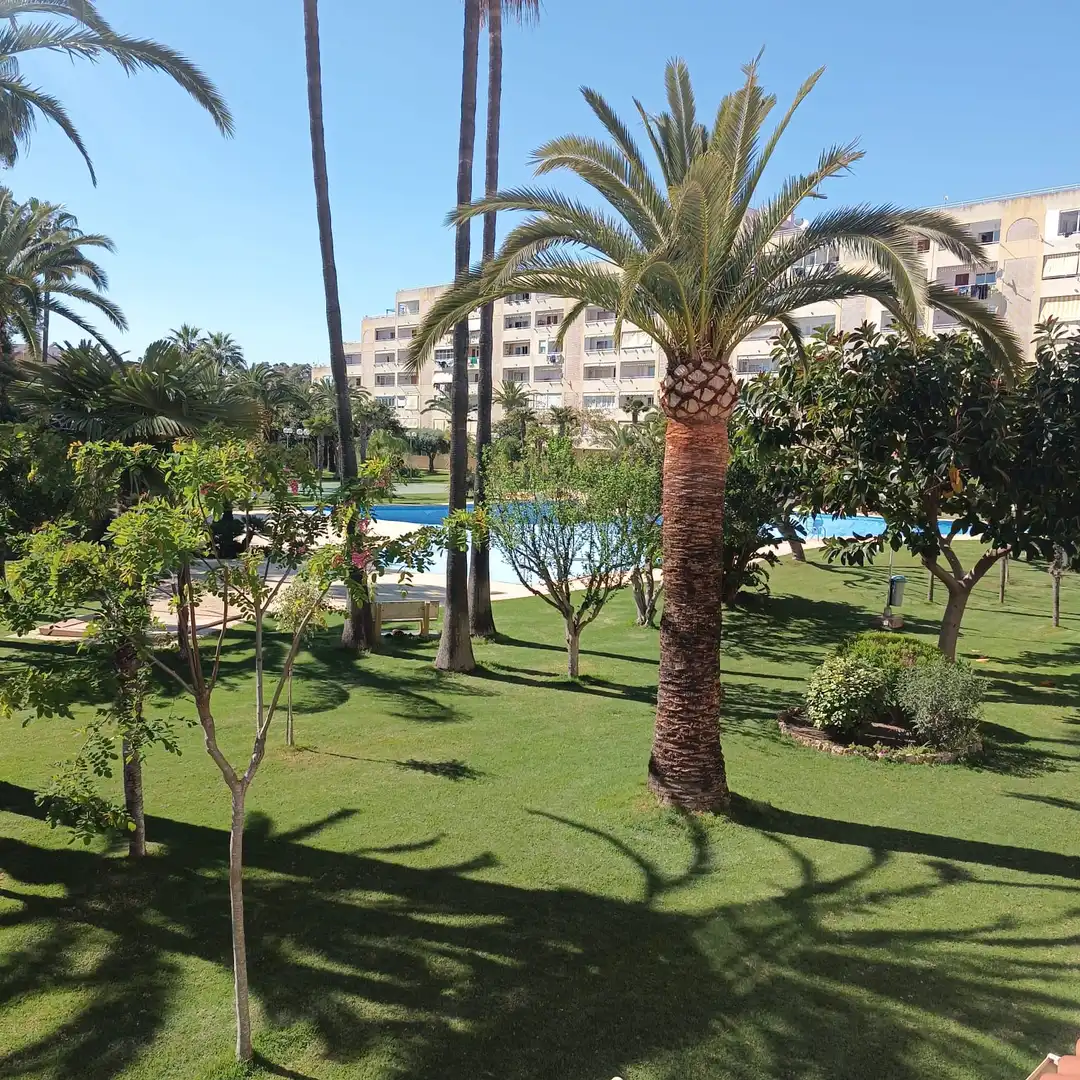 Jardín de Apartamento de alquiler en La Pobla de Farnals con Aire acondicionado, Calefacción y Jardín privado