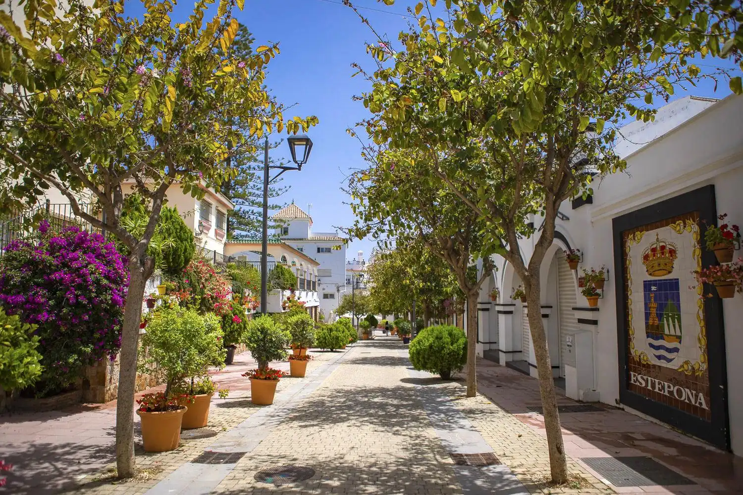 Vista exterior de Àtic en venda en Estepona amb Terrassa, Piscina i Piscina comunitària