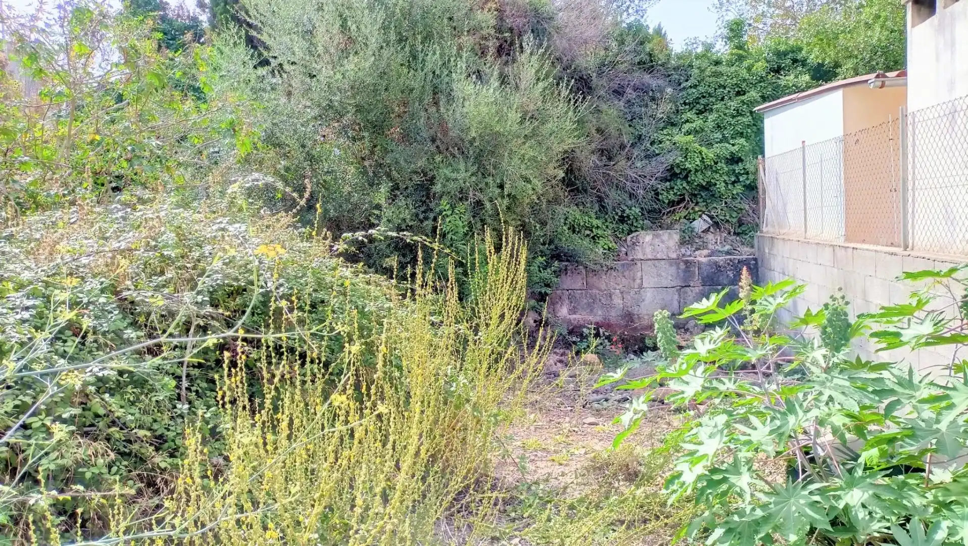 Terrenys i solars en venda a Muro, imagen 6