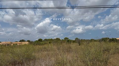 Foto 5 de Terreno en venta en N/a, Porto Cristo, Manacor