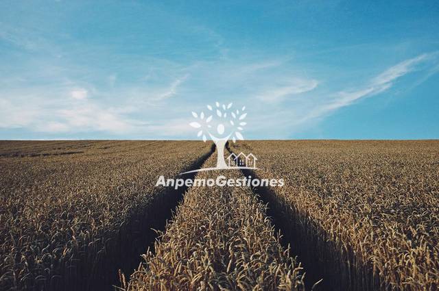 Terreno en Venta en Parque Alcosa