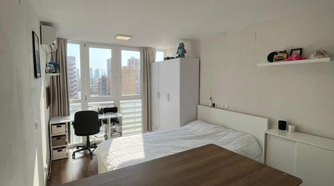 Photo 5 of Study for sale in Juzgados - Plaza de Toros, Alicante