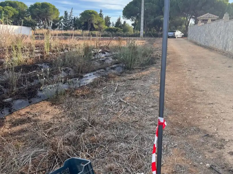 Terreni e lotti in vendita a Carril de pilaito 21, imagen 2