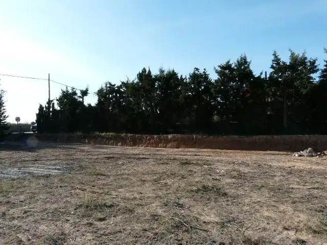 Terreno residencial en venta en Los Arenales del Sol, imagen 4
