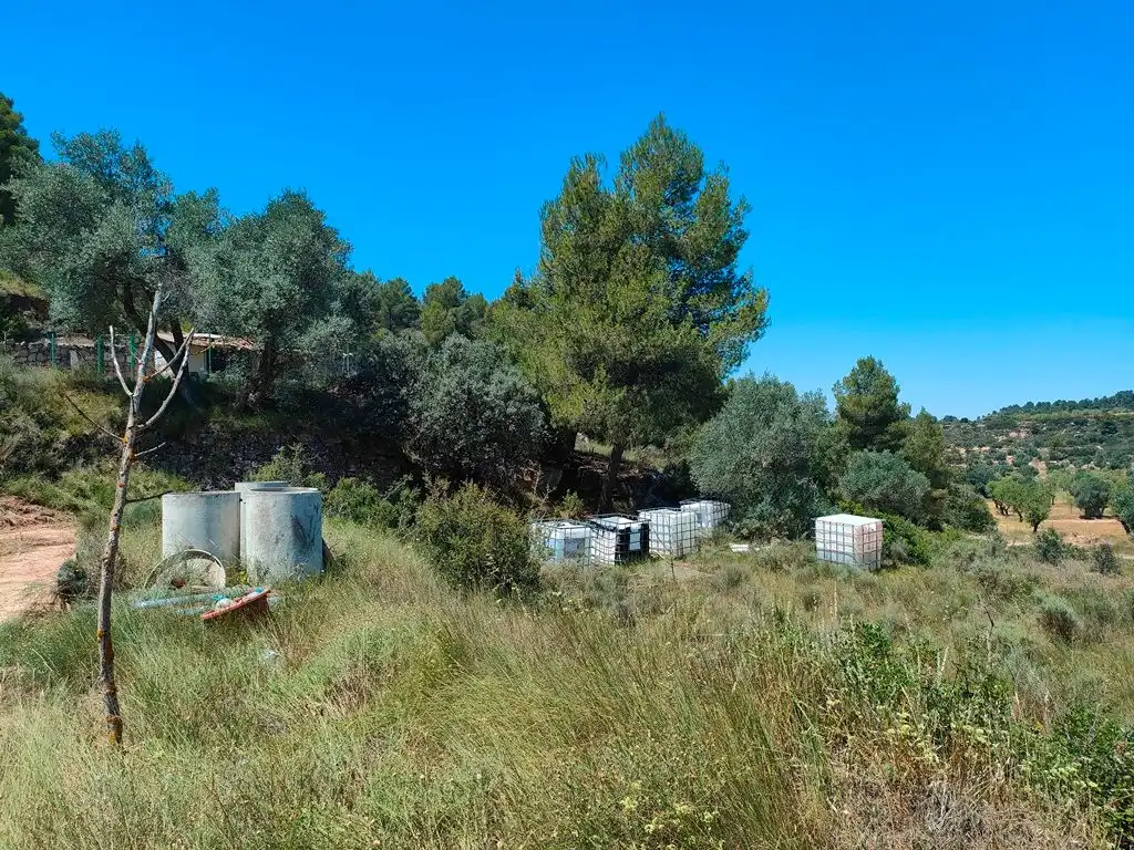 Terreni e lotti in vendita a Calaceite, imagen 4