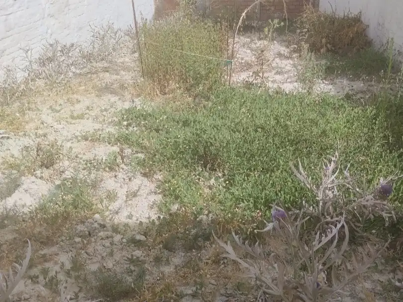 Residential for sale in Torredelcampo, Jaén