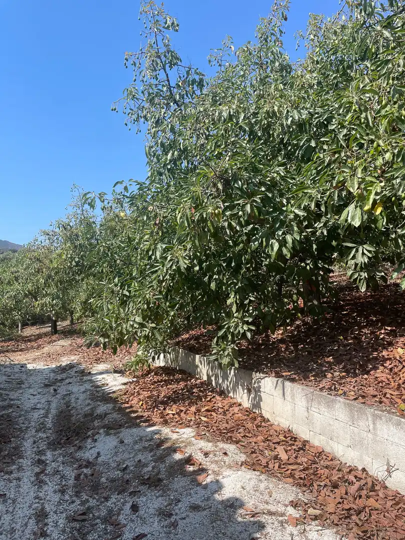Terreni e lotti in vendita a Coín, imagen 16