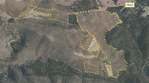FINCA PARA RECREO, CAZA, GANADERÍA, imatge 2