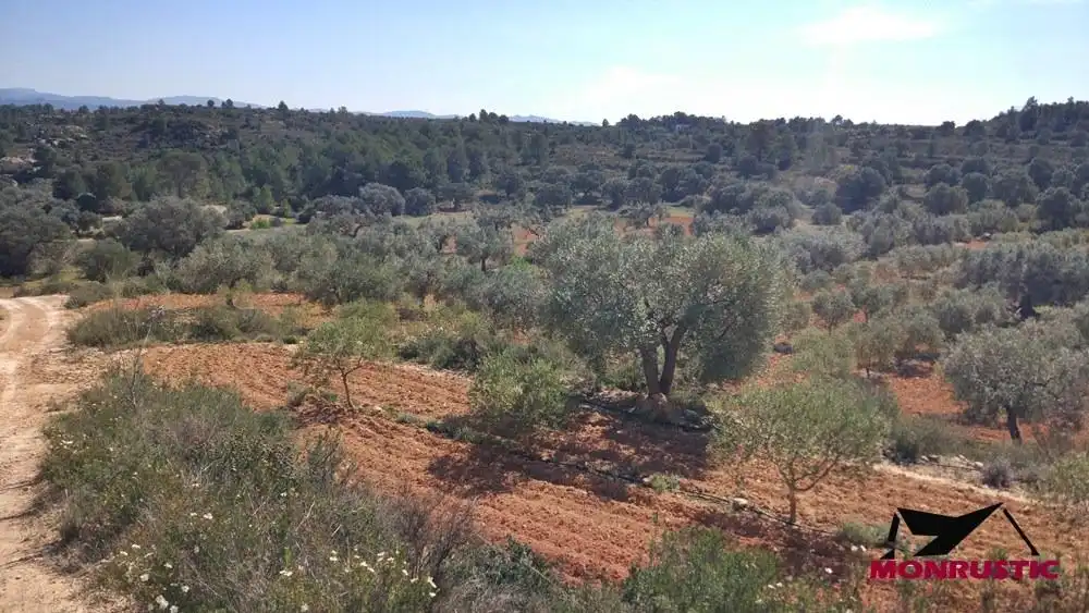 Terrain rustique à vendre à Riba-roja d'Ebre, imagen 16