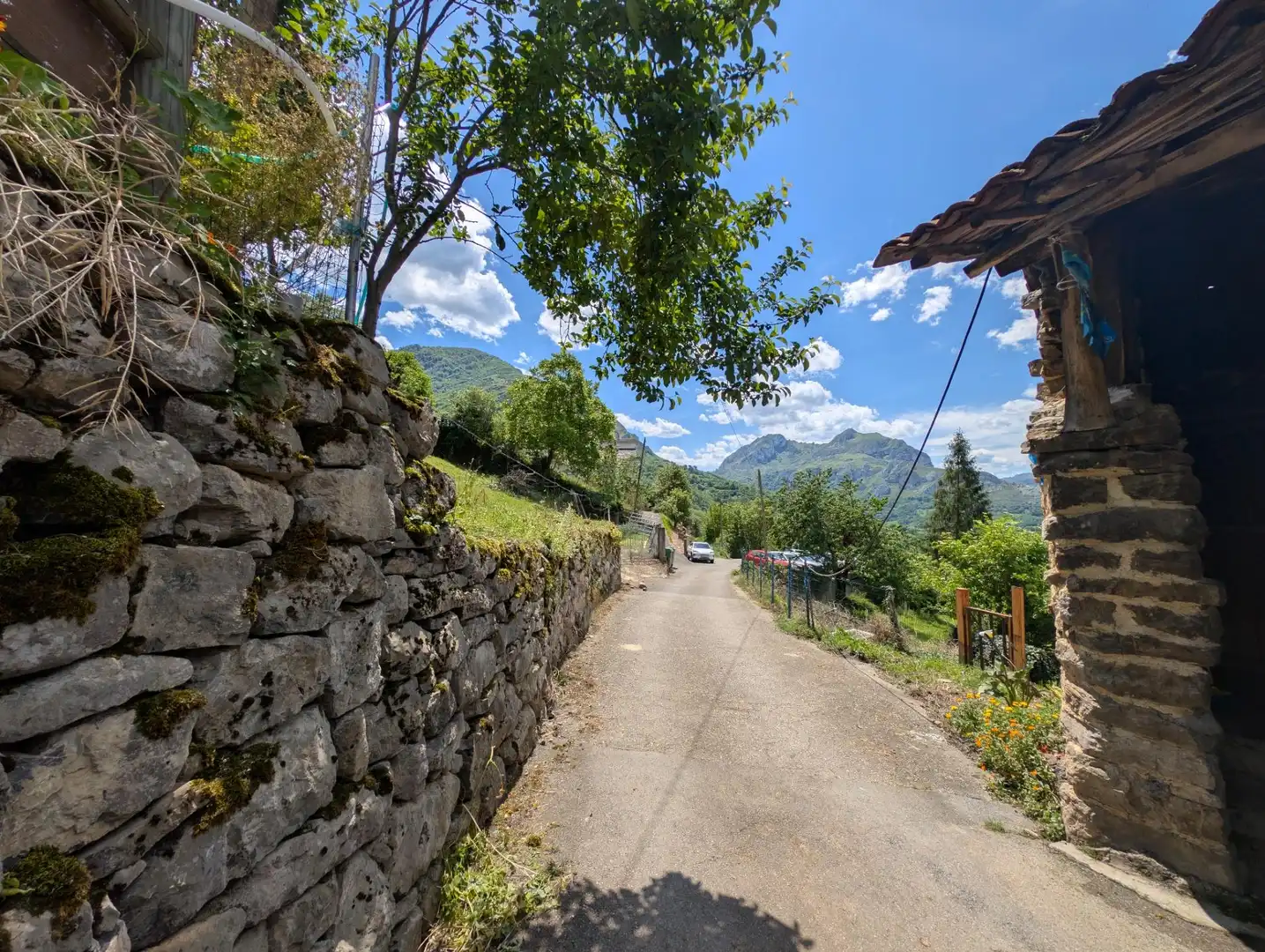 Vista exterior de Casa o chalet en venta en Proaza con Jardín privado