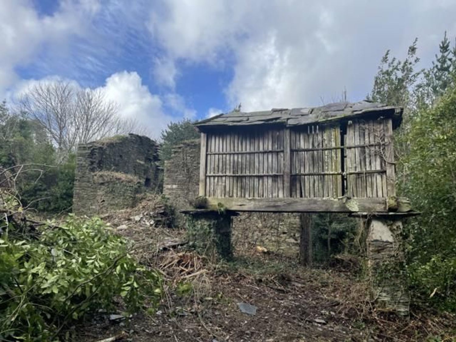 Außenansicht von Country house zum verkauf in Ortigueira mit Privatgarten