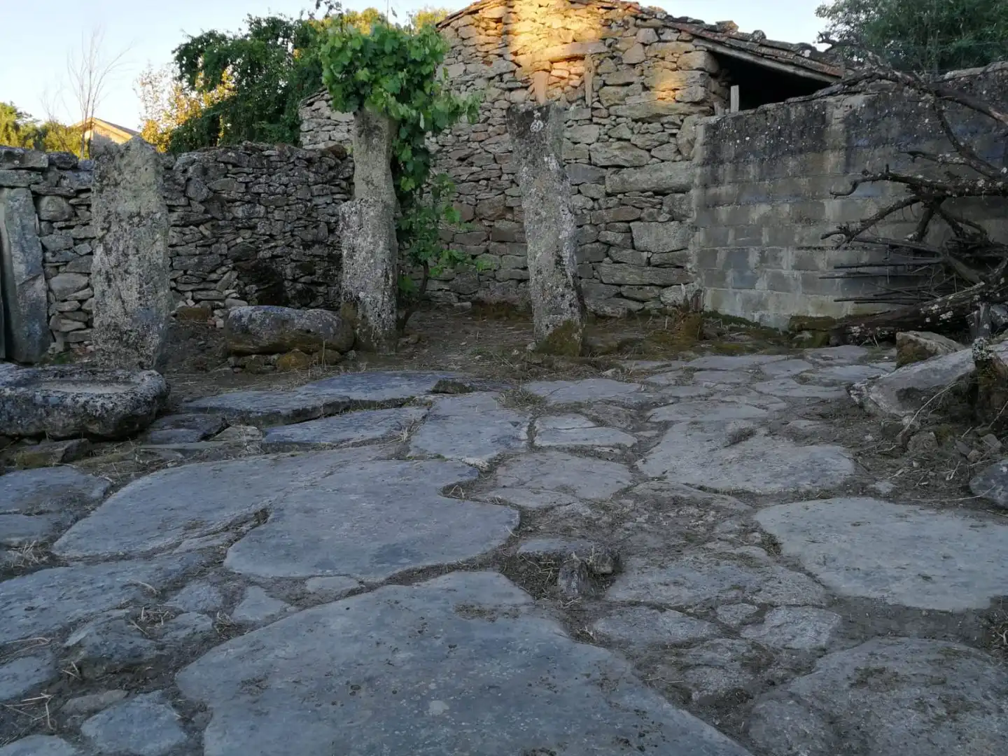 Jardí de Residencial en venda en Monleras