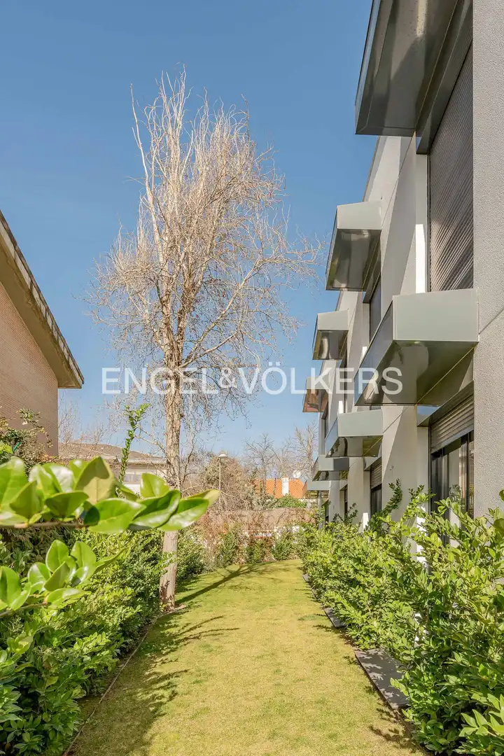 Vista exterior de Casa o chalet en venta en Madrid con Aire acondicionado, Calefacción y Jardín privado