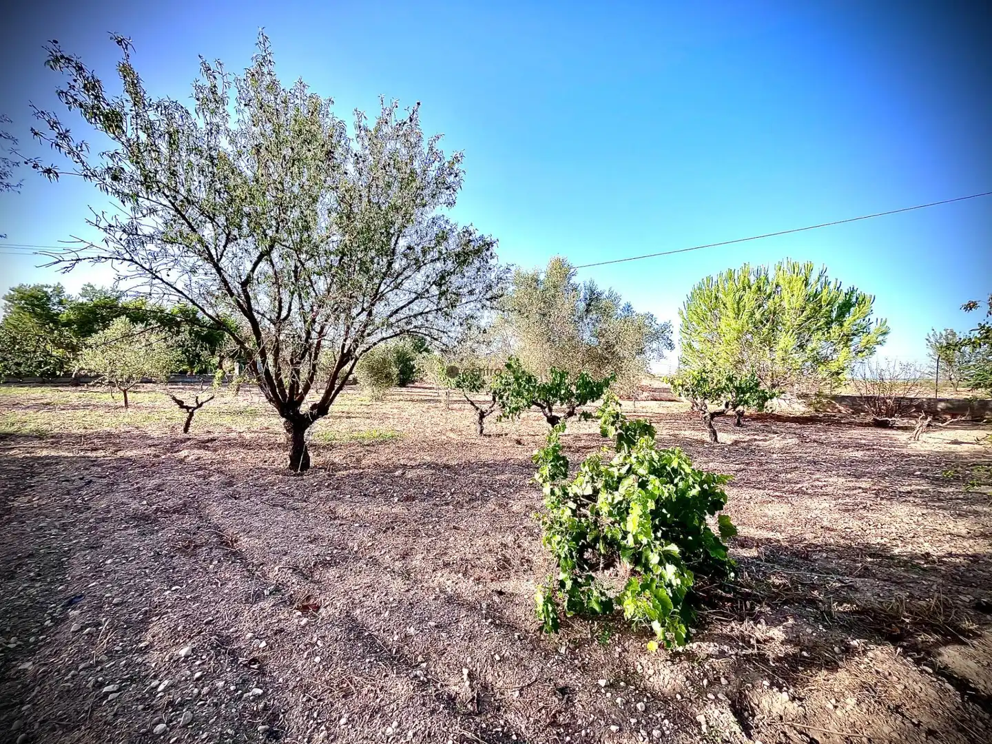 Casa en venda a Biar, imagen 40