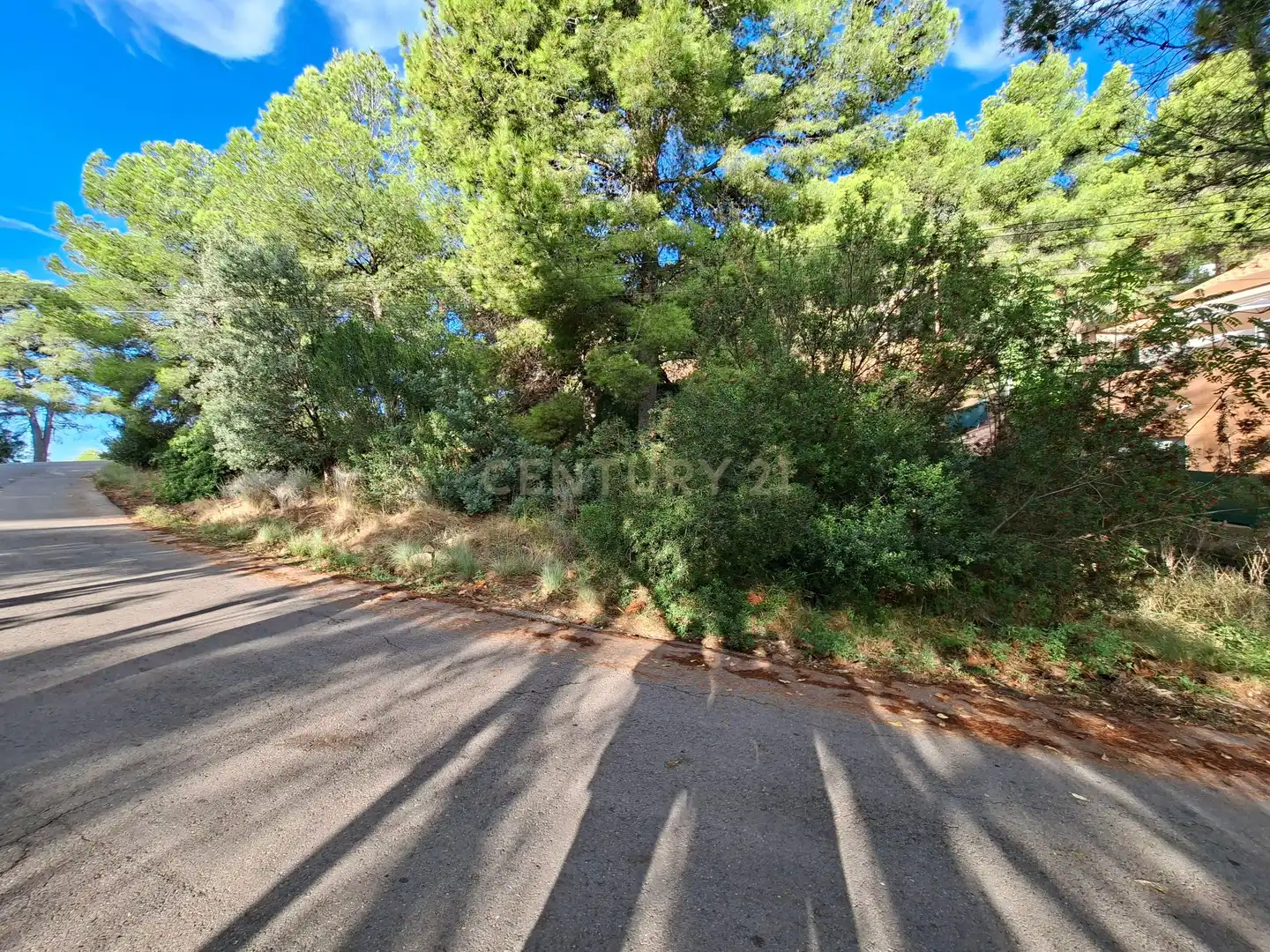 Wohnbaugrundstück zum Verkauf in 46118 Serra, Spain, imagen 13