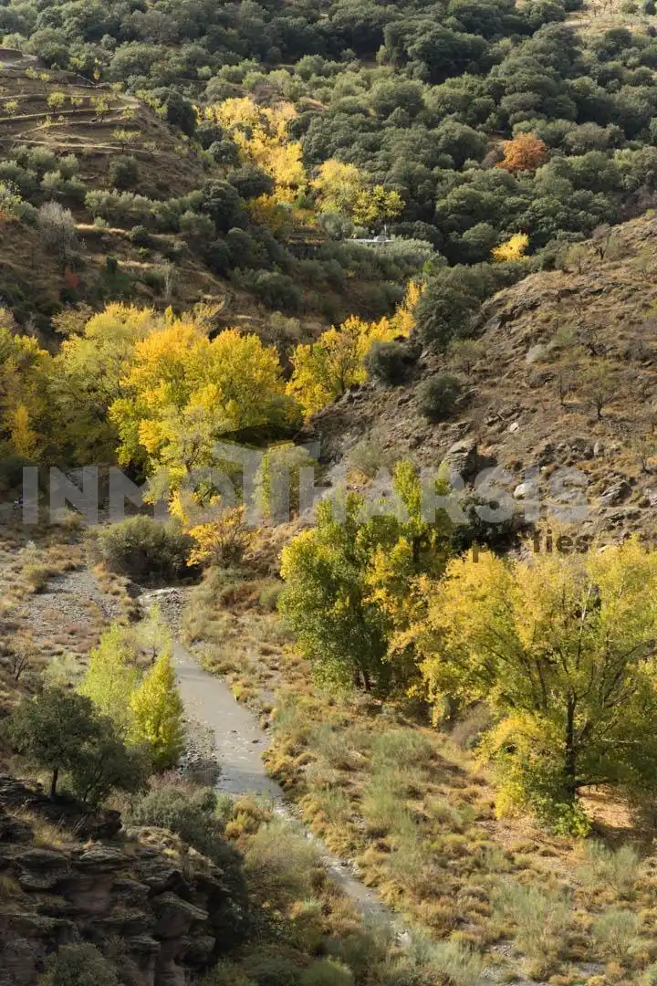 Vista exterior de Casa o xalet en venda en Abrucena amb Jardí privat, Terrassa i Moblat