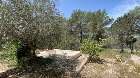Encantadora finca con proyecto de ampliación y reforma en Ibiza, imatge 4