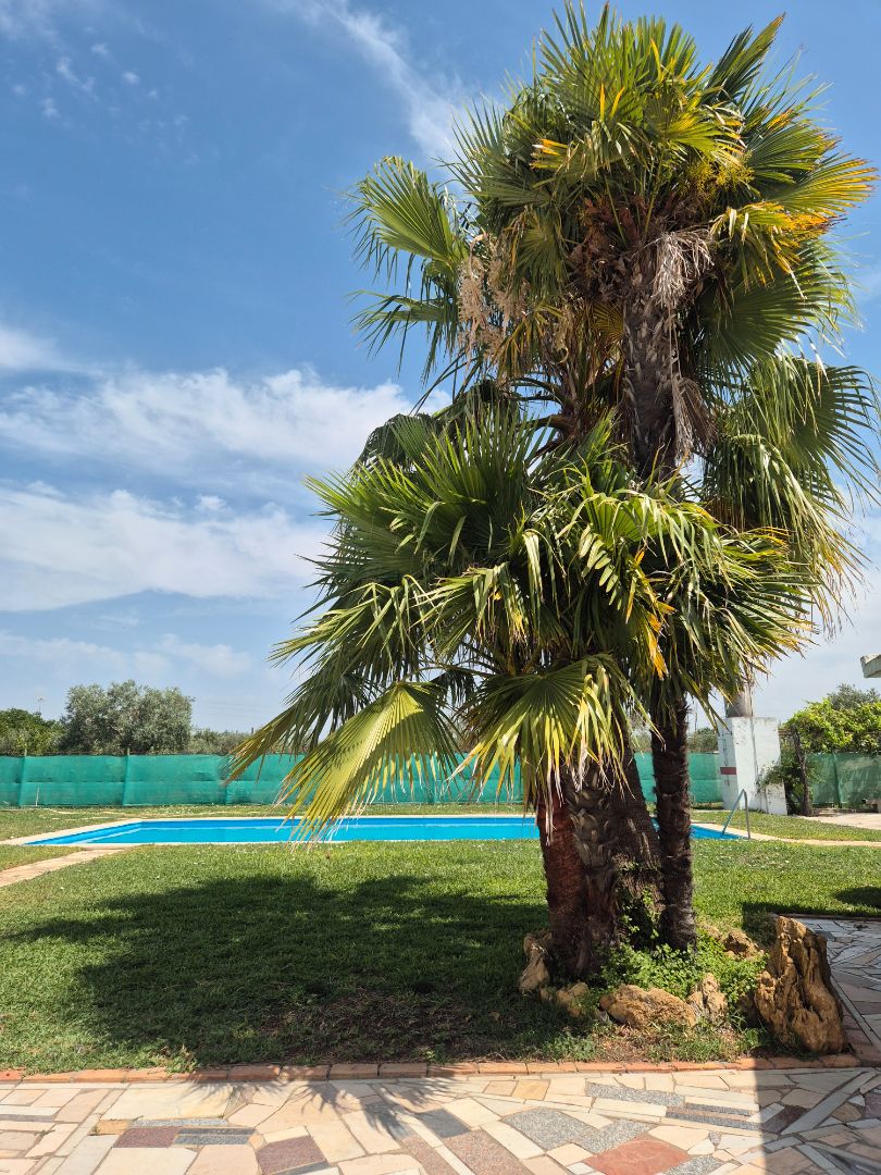 Piscina de Residencial en venda en Utrera