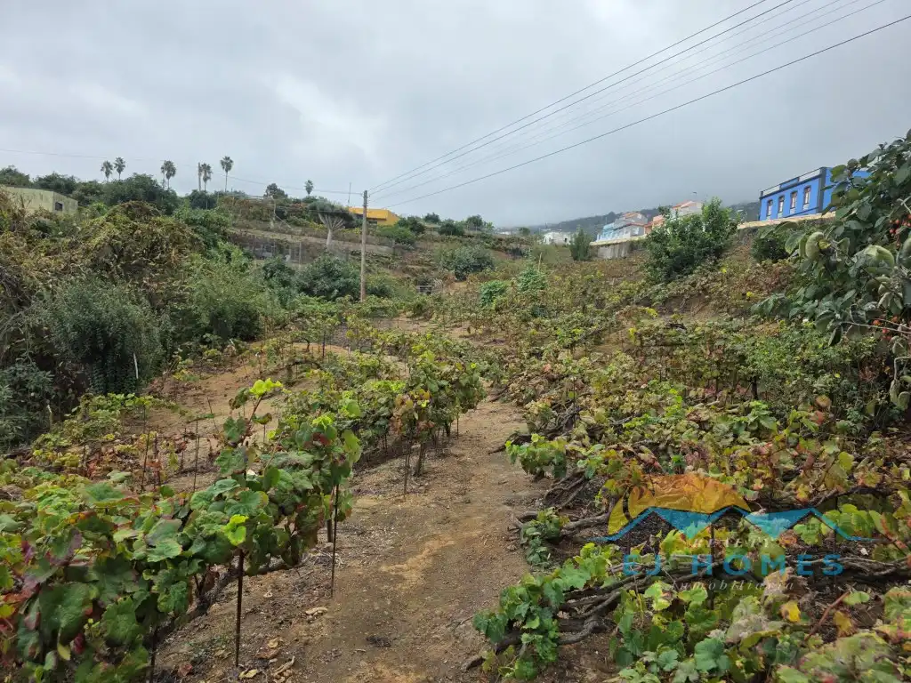 Houses for sale in La Orotava