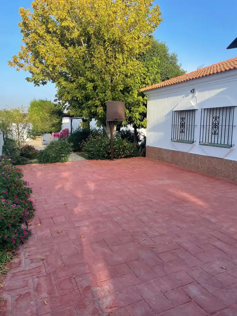 Chalet con piscina en venta en Camino C DEL QUEJIGO 2, imagen 25