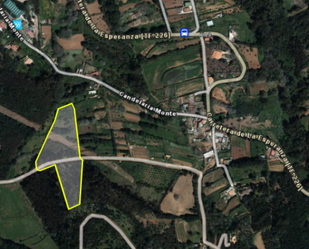 Land for sale in Tacoronte