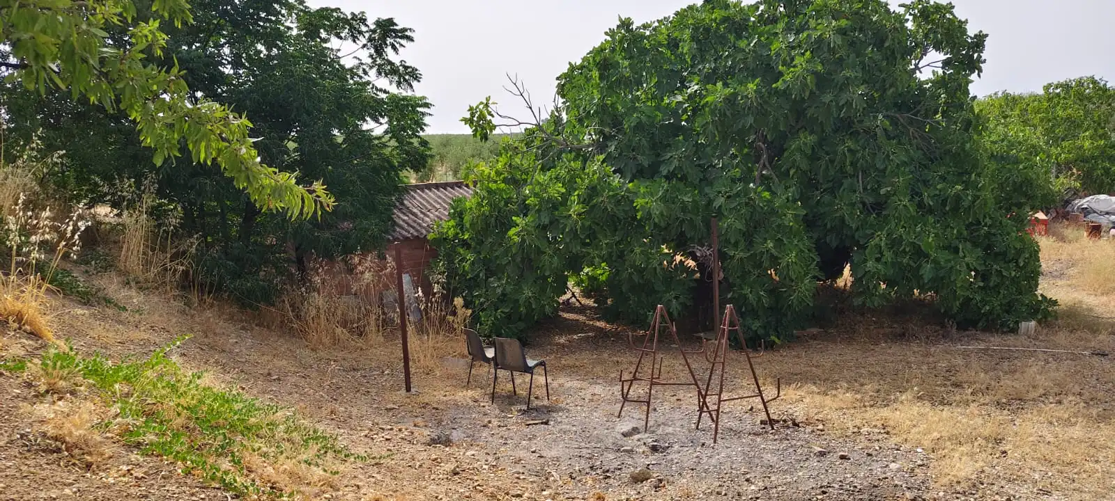 Maison avec piscine à vendre à Carretera de Palma del Río 4, imagen 20