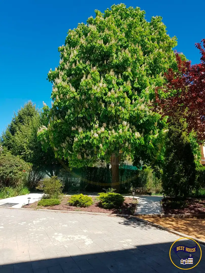 Xalet amb jardí en venda a Calle ZARCEJO (EL) (ARCAS), imagen 36
