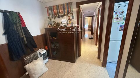 Foto 4 de Pis de lloguer a Norte, Mérida