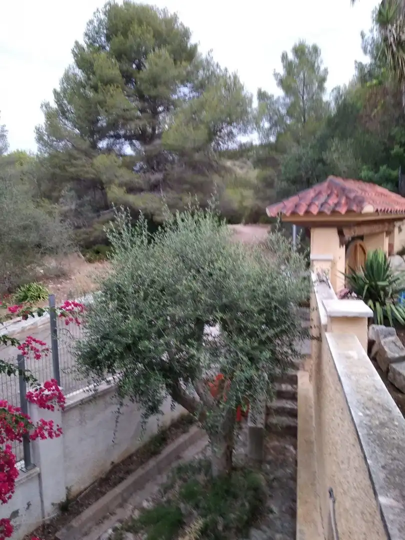 Maison avec terrasse à vendre à Mas Mel, imagen 72