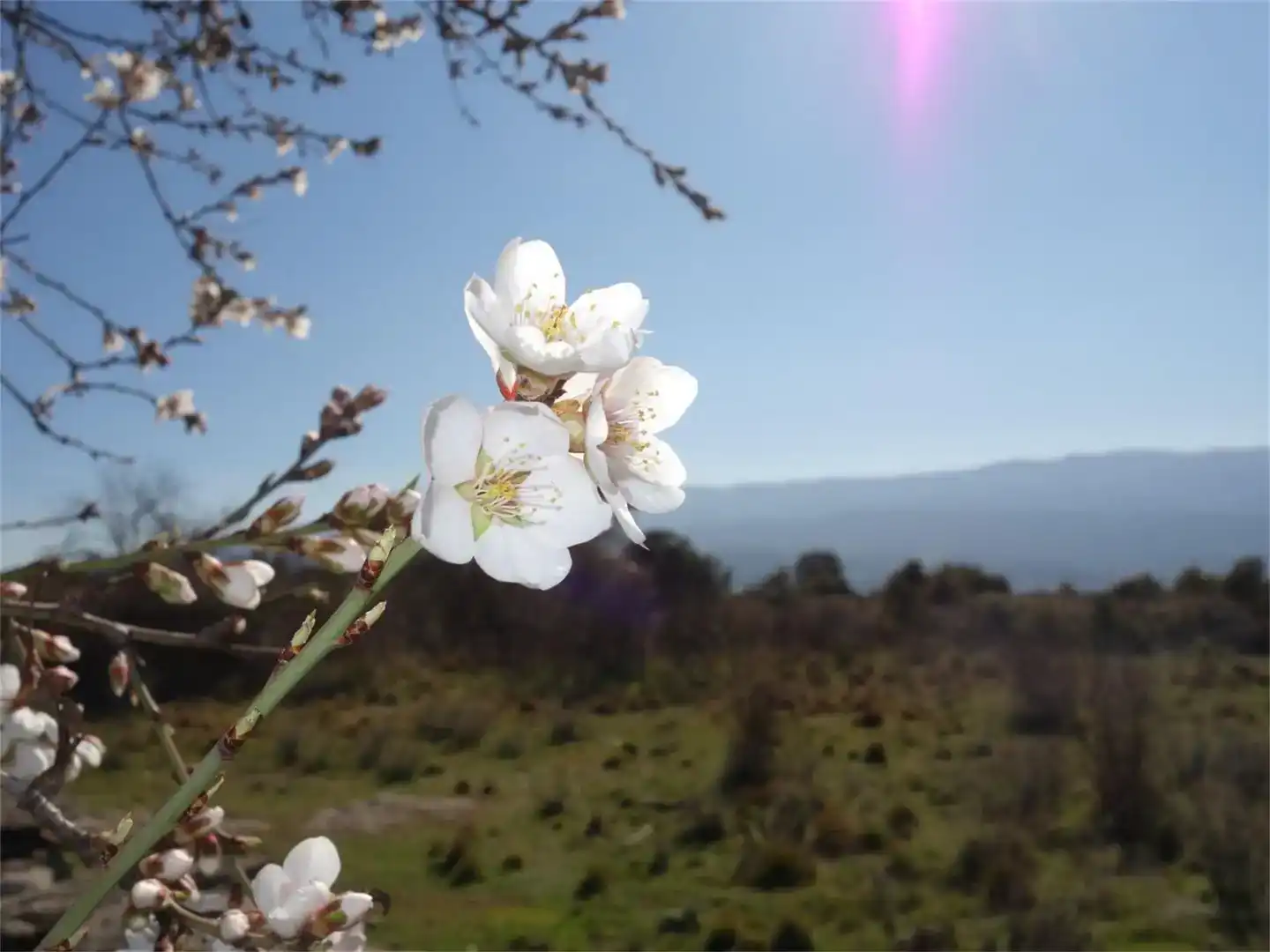 Jardí de Finca rústica en venda en Tremp