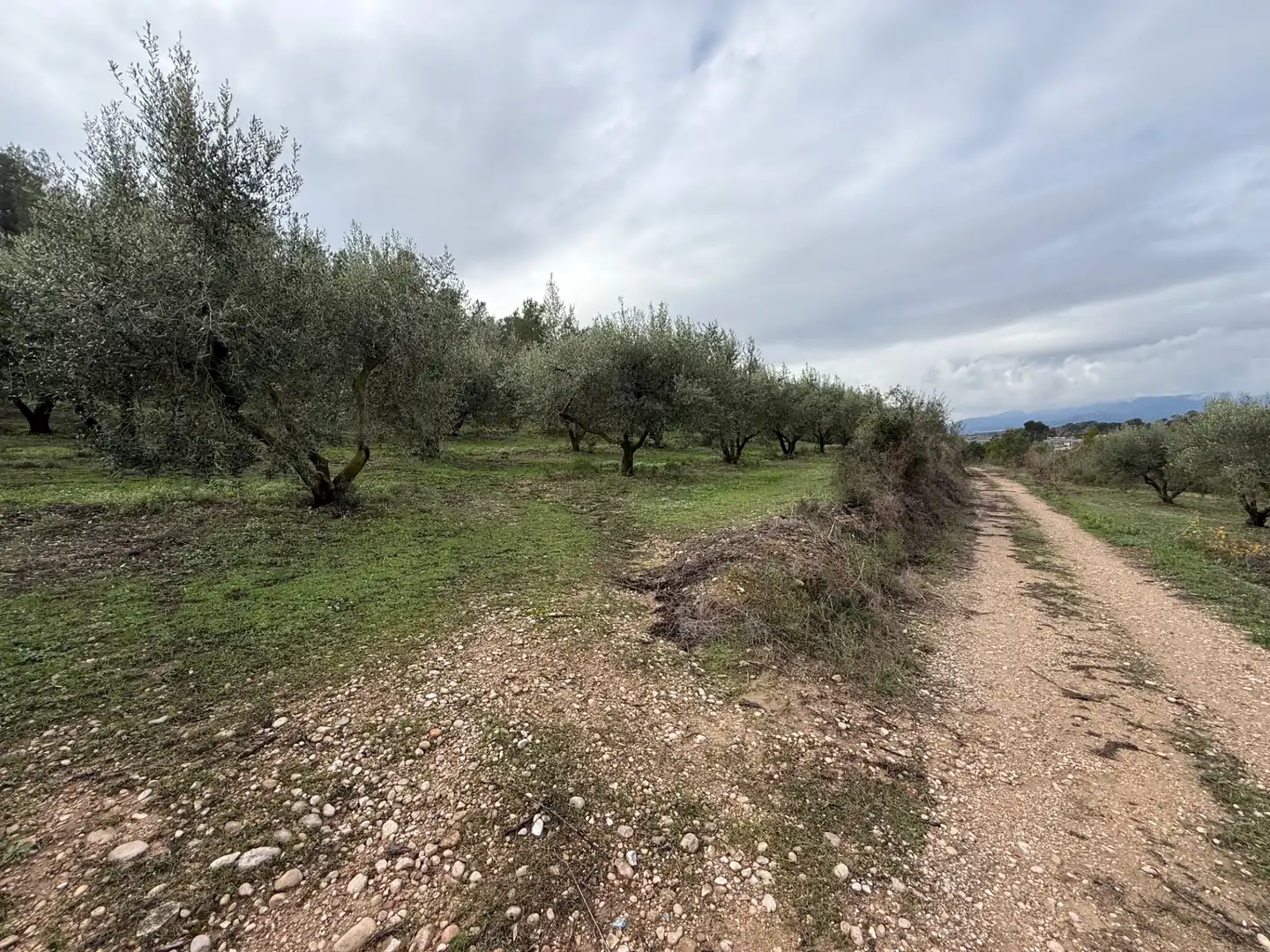 Terrain rustique à vendre à Camí de Vallmoll a Valls 17, imagen 18