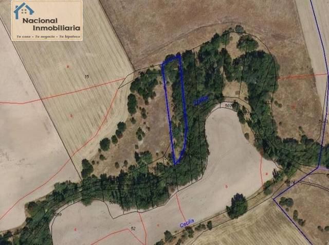 Terreno en Venta en Camino Polígono 3 Parcela 5067 EL RIO. MARUGAN (SE en Marugán