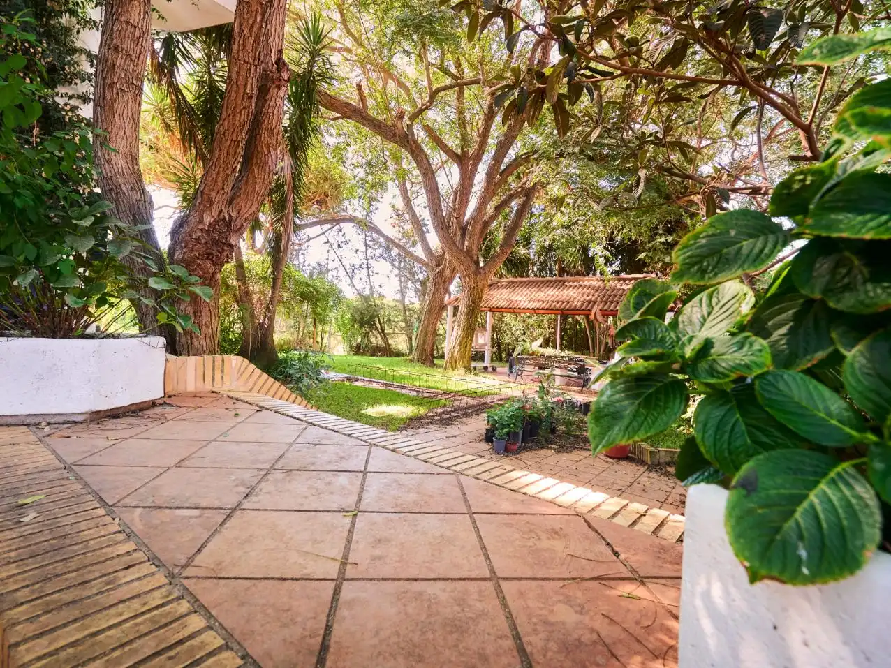 Terrassa de Casa o xalet en venda en Mazagón
