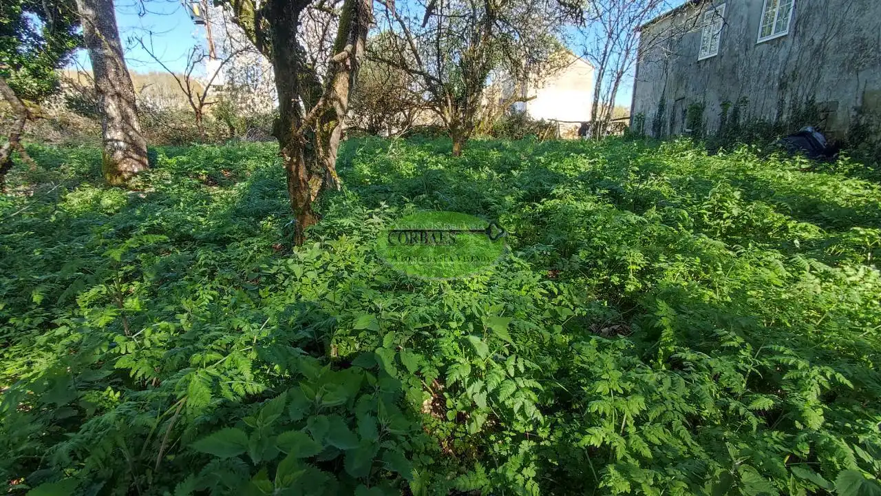 Casa amb jardí en venda a Pantón, imagen 16